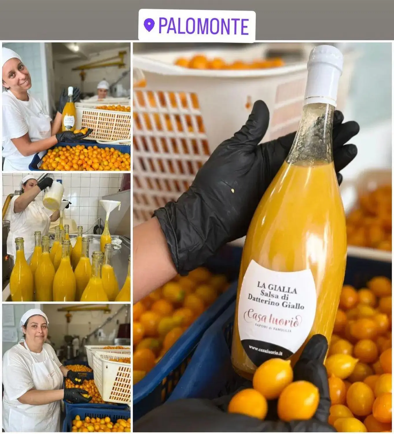 Getränke der Nicchia GmbH